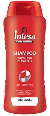 Шампунь для всех типов волос Intesa 300 мл., цена | Фото
