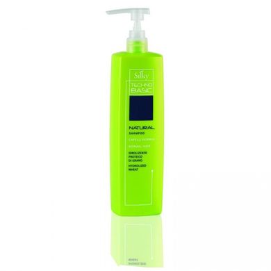 Шампунь для нормальных волос Silky Natural Shampoo 1000 мл, цена | Фото