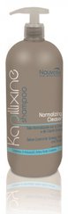 Шампунь для жирных волос с экстрактом крапивы Nouvelle Normalizing Cleanser Shampoo, цена | Фото